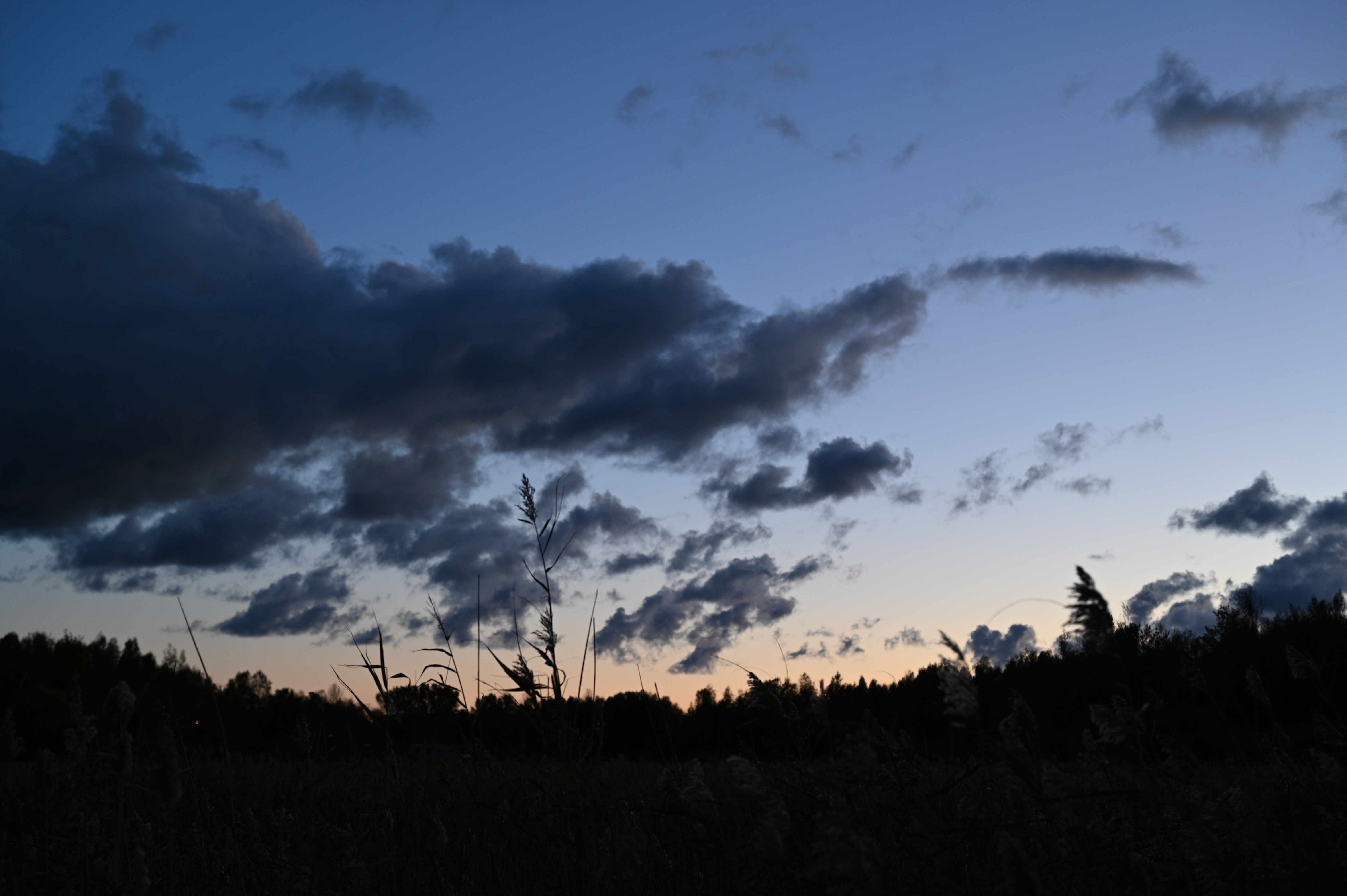 2025/10/18 - walk/DSC_0616.JPG